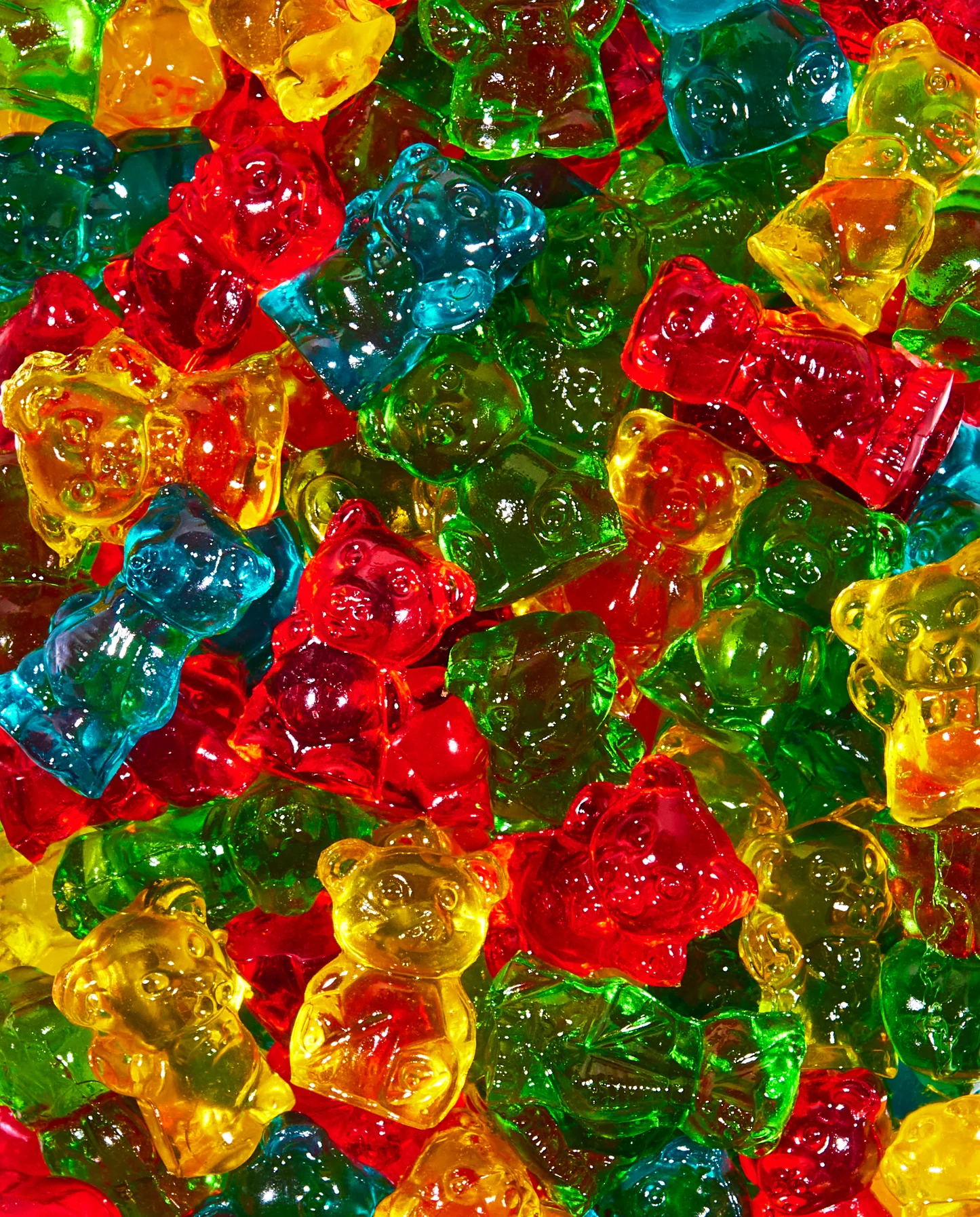 Chubby Bears