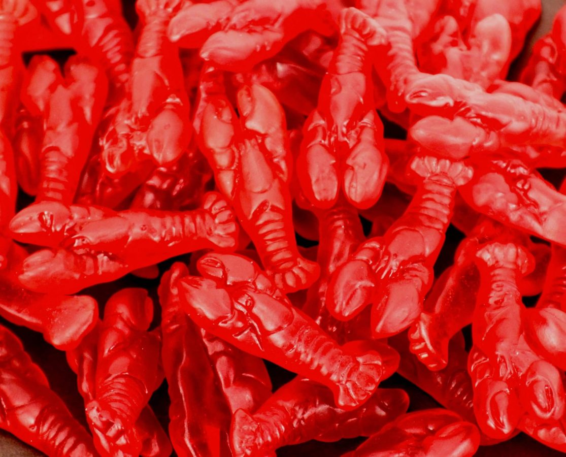 Gummy Lobsters