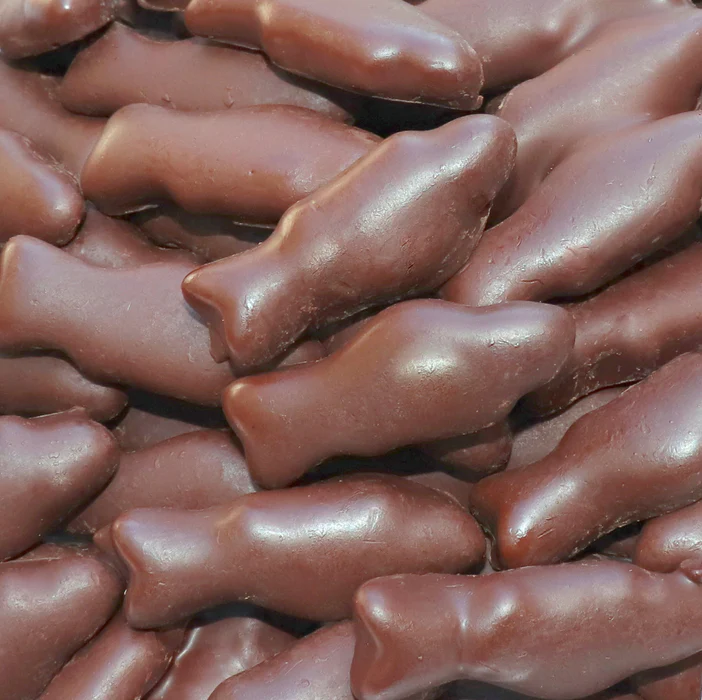 Chocolate Covered Swedish Fish
