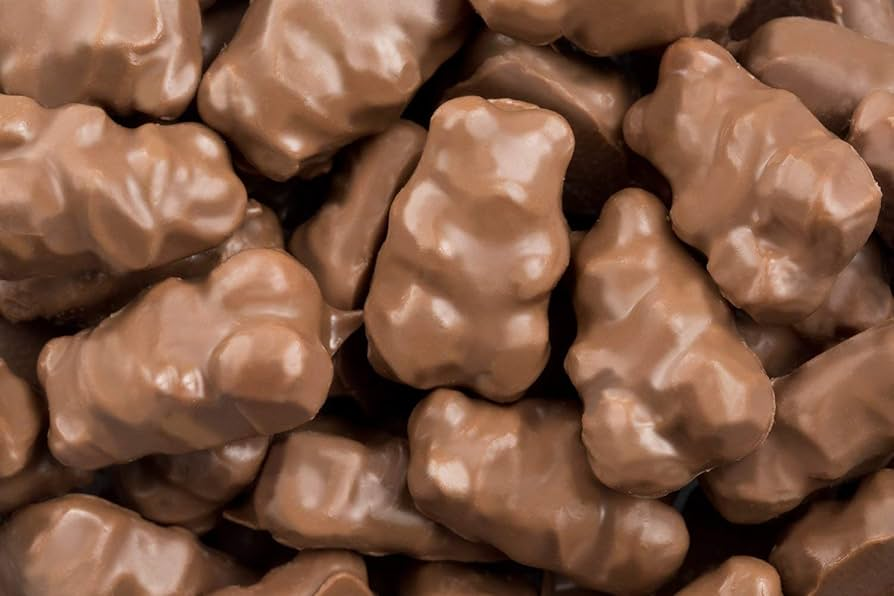 Chocolate Covered Gummy Bears