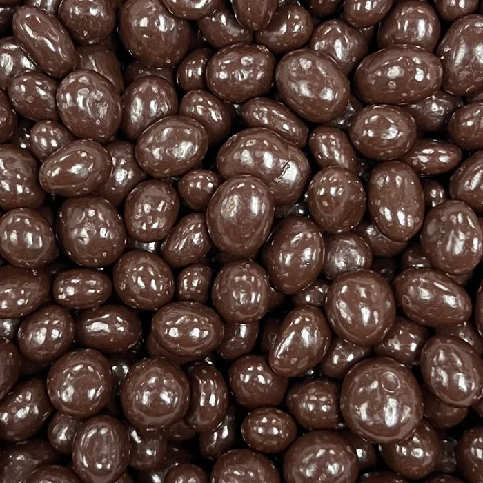 Dark Chocolate Covered Raisins